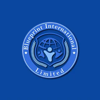 Vortisio Logo Design Portfolio - 2